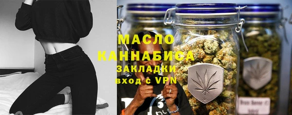 твердый Михайлов