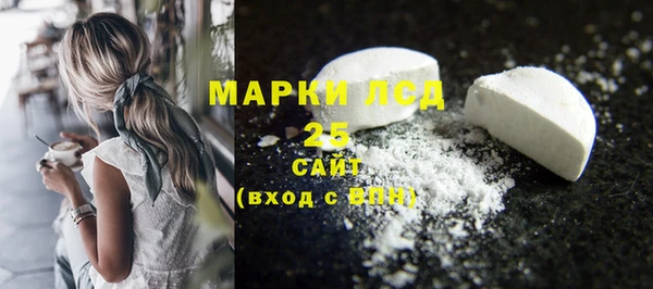 твердый Михайлов