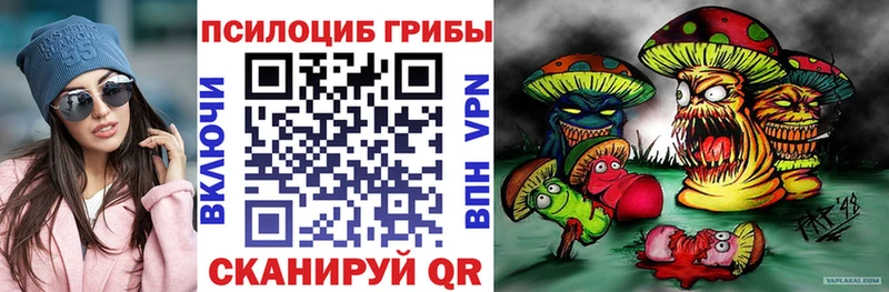 купить   Нерчинск  Галлюциногенные грибы Magic Shrooms 
